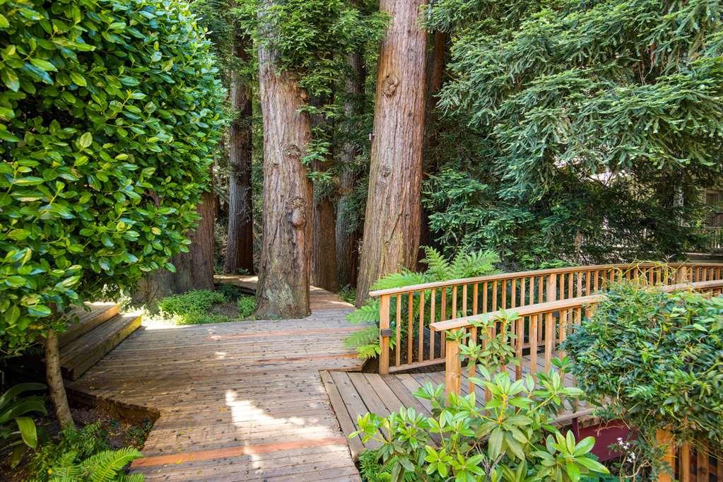 Mill Valley Inn Hotel